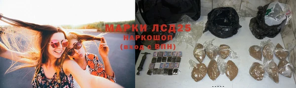a pvp Аркадак