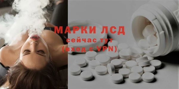 a pvp Аркадак