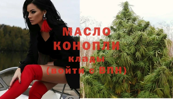 индика Армянск