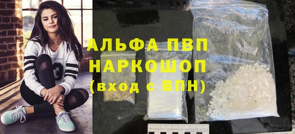 индика Армянск