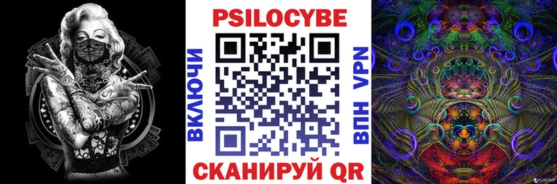 Купить закладки  Палласовка  Псилоцибиновые грибы ЛСД 